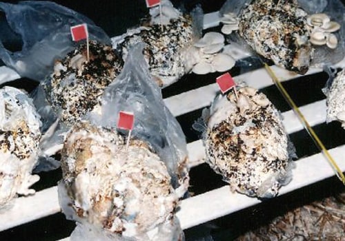 Disposing of a Disposable Diaper